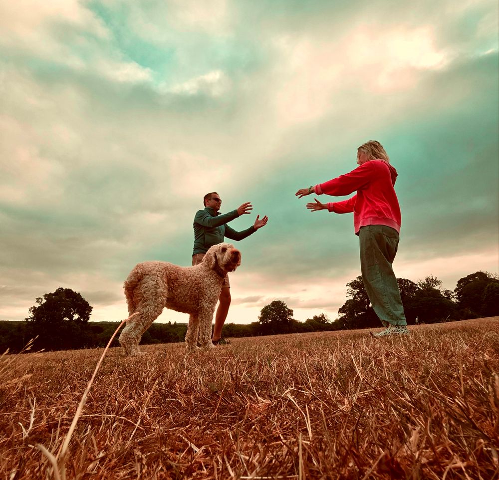 Two people practising Qigong outdoors in a field at dusk