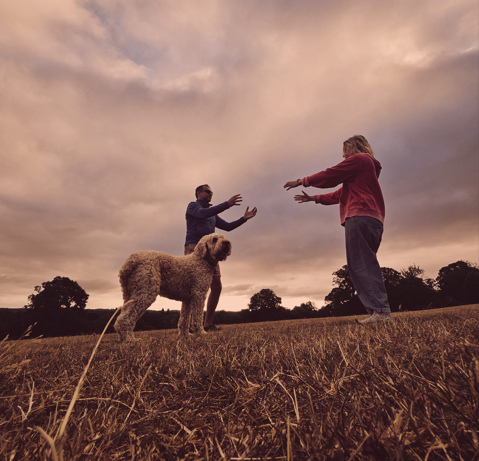 Two people practising Qigong outdoors in a field at dusk